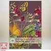 Sweet Pea - Kew Pollination Collection