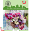 Sweet Pea 