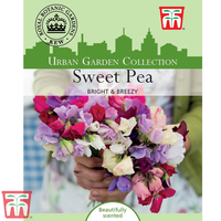 Sweet Pea 