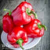 Sweet Pepper 