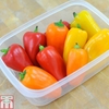 Sweet Pepper 