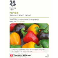 Sweet Pepper 