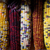 Sweetcorn 