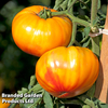 Tomato 