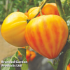 Tomato 