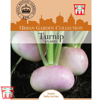 Turnip 