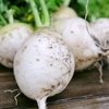 Turnip 