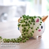 Unicorn Pot with Senecio 