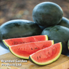 Watermelon 