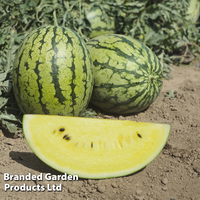 Watermelon 
