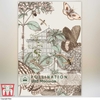 Wild Marjoram - Kew Pollination Collection