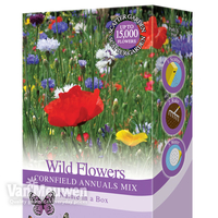 Wildflowers 