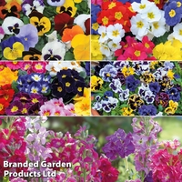 Winter Bedding Collection