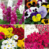 Winter Bedding Lucky Dip