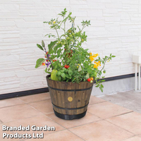 Wooden Barrel Planter