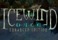 Icewind Dale: Enhanced Edition Steam CD Key