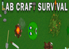 Lab Craft Survival Steam CD Key