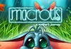 Macrotis: A Mother