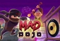 Mad Dojo Steam CD Key