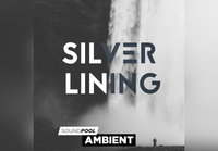 MAGIX Silver Lining ProducerPlanet CD Key