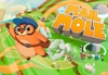 Mail Mole Steam CD Key