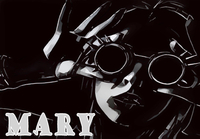 MARY Steam CD Key