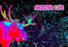  Moose Life Steam CD Key