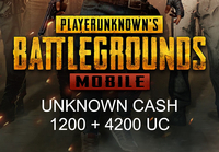 PUBG Mobile - 12000 + 4200 UC CD Key