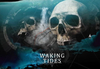 Waking Tides Steam CD Key
