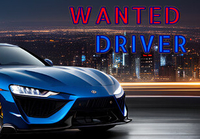 Wanted Driver Steam CD Key