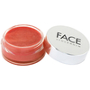 FACE Stockholm Pot Gloss 2.8g - Smart