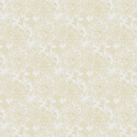 A Street Prints Wallpaper Birds of Paradise FD25413