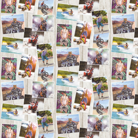 Albany Wallpaper Animal Selfies L39001