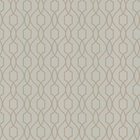 Albany Wallpaper Apex Trellis FD41997