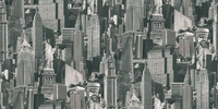 Albany Wallpaper Art Gallery New York,  102503