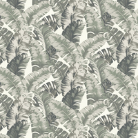 Albany Wallpaper Banana Palm 535600