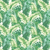 Albany Wallpaper Banana Palm 535648