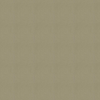 Albany Wallpaper Beads C88647