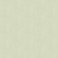 Albany Wallpaper Bellagio Plain M95654