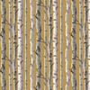 Albany Wallpaper Birch Trees FD43290