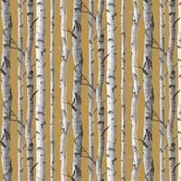 Albany Wallpaper Birch Trees FD43290