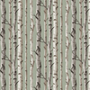 Albany Wallpaper Birch Trees FD43291