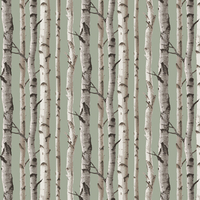 Albany Wallpaper Birch Trees FD43291