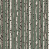 Albany Wallpaper Birch Trees FD43292