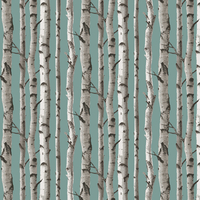 Albany Wallpaper Birch Trees FD43293