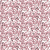Albany Wallpaper Blossom Arbor L33103