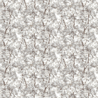 Albany Wallpaper Blossom Arbor L33109