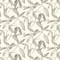 Albany Wallpaper Cocoa Pod 525717