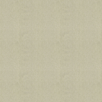 Albany Wallpaper Corelli Texture 7795