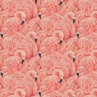 Albany Wallpaper Flamingos 823820